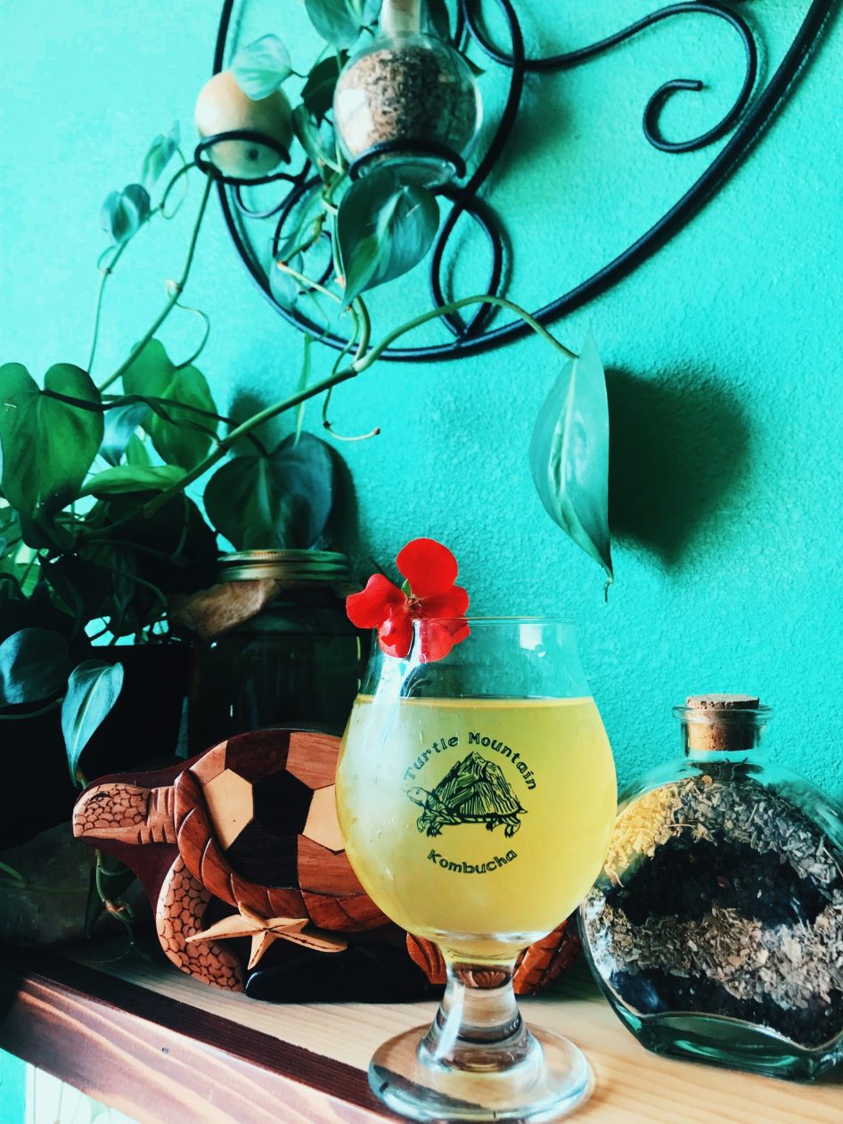 Featured image for “Defend Our Kombucha Event”